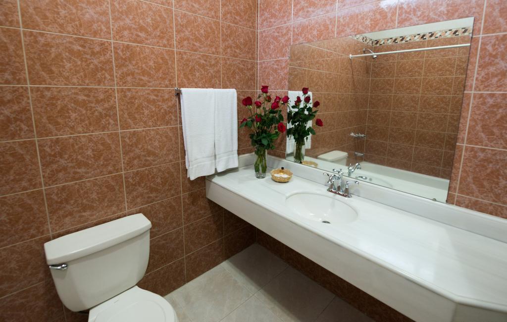 Omni Auto Hotel Guatemala City Bilik gambar